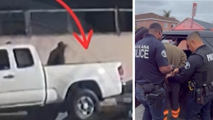 Serial Cat Killer Arrest