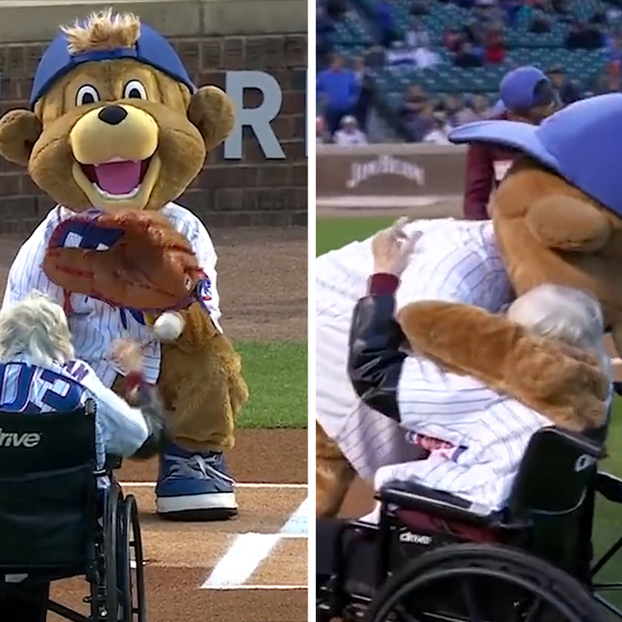 Chicago Cubs now have an official mascot, Clark : r/baseball