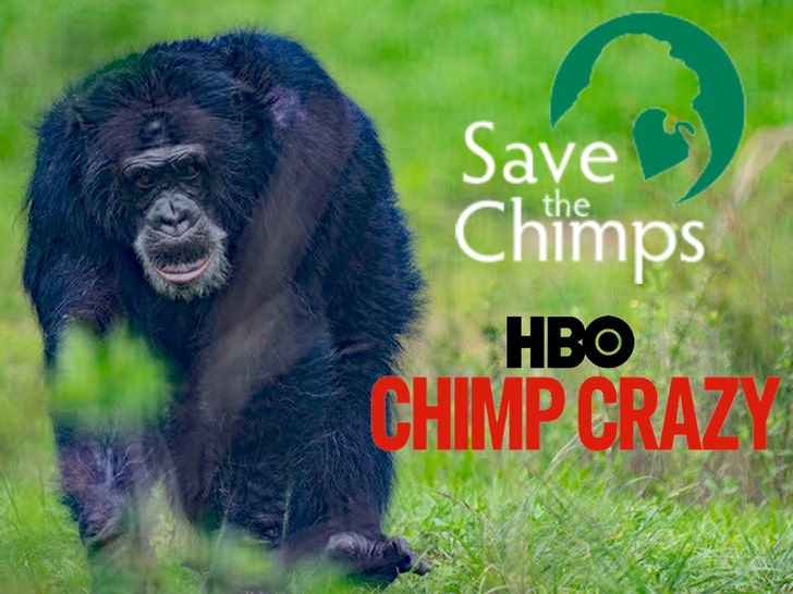 tonka save the chimps