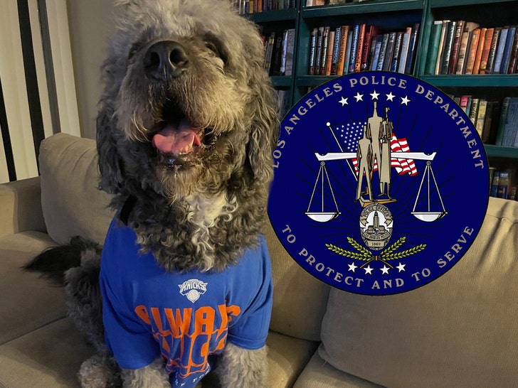 lapd killed dog