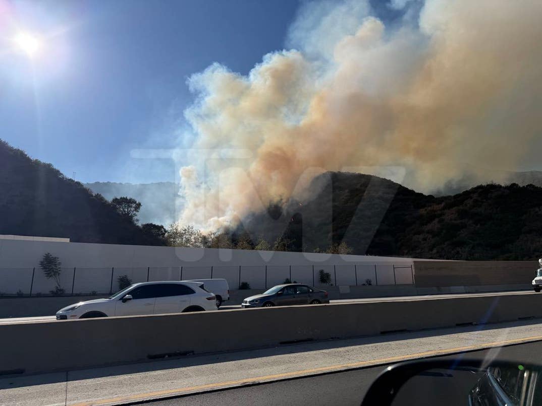 Large Brush Fire Near Getty Center 7