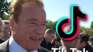Arnold Schwarzenegger and TikTok Give $3 Million to Feed Students