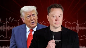 donald trump elon musk audio 1