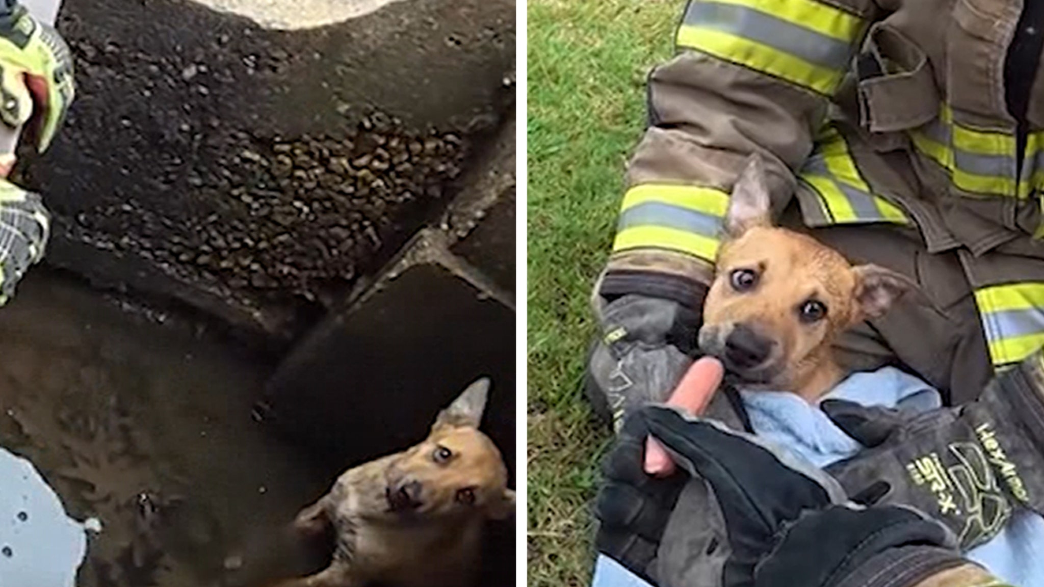 Hero Firefighters Save Trapped Puppy From Storm Drain!