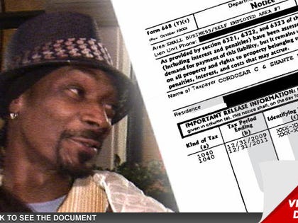 0215-snoop-dogg-tax-doc