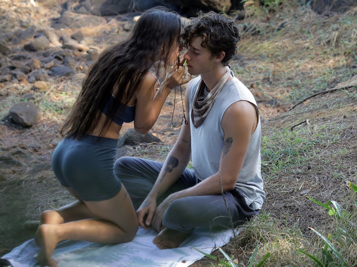 Shawn Mendes Meditating in Hawaii With Sexy Shaman