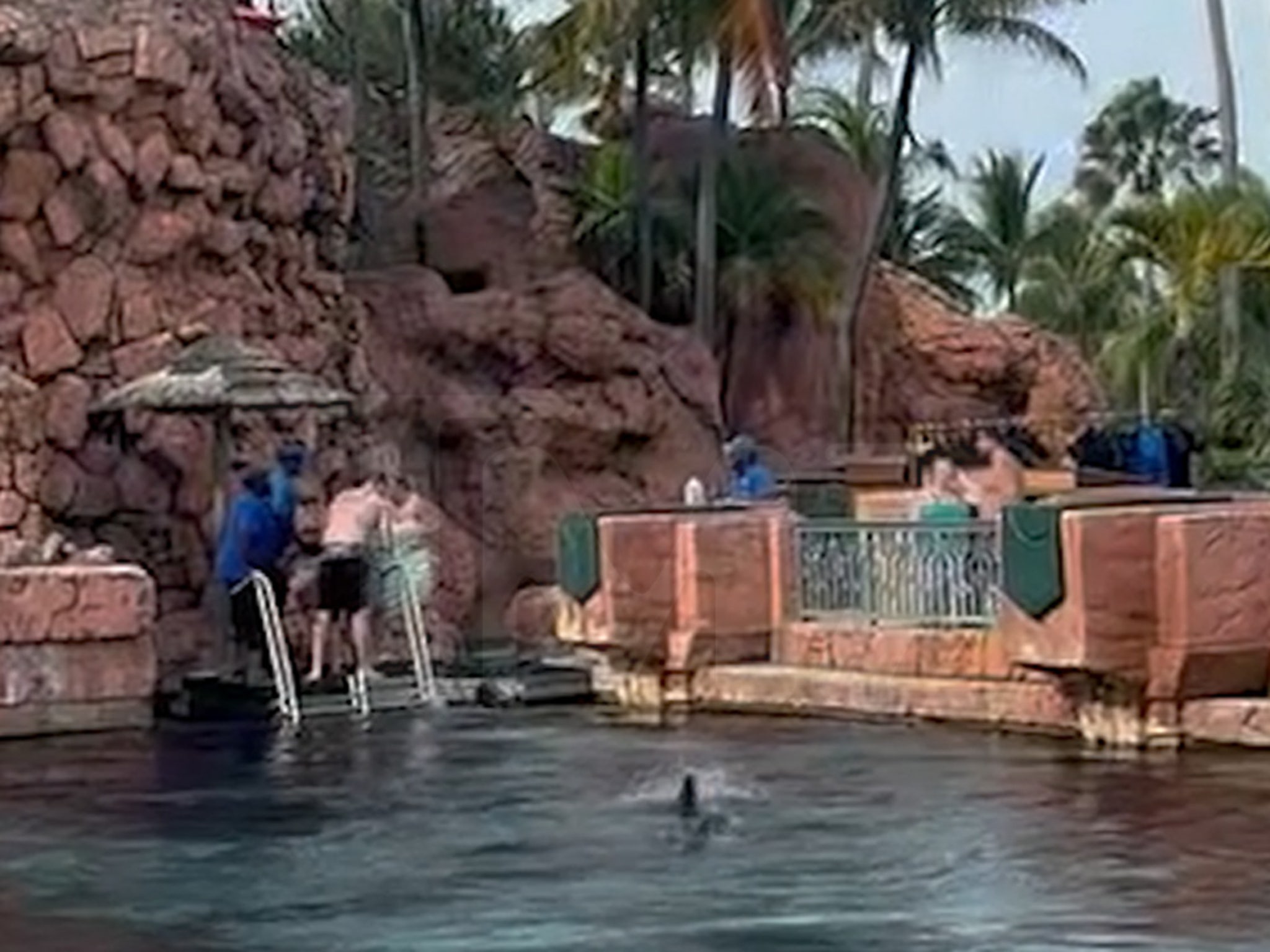 Maryland boy, 10, attacked by shark at Bahamas resort