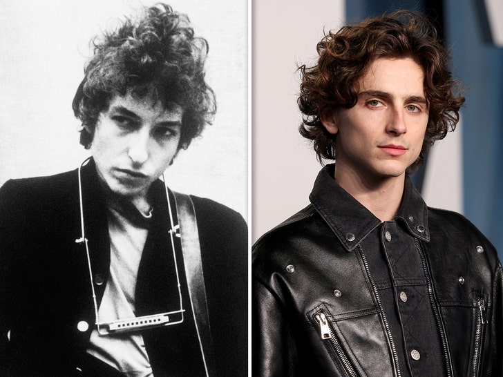 Bob Dylan and timothee chalamet
