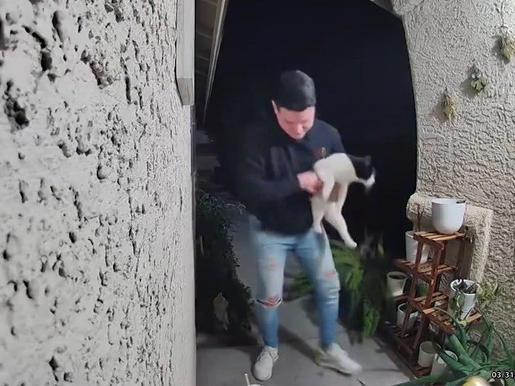 DoorDash driver caught on video stealing cat during delivery