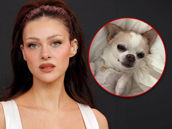 Nicola Peltz Hires Lawyers Over Dog’s Death, Heartbroken Over Loss