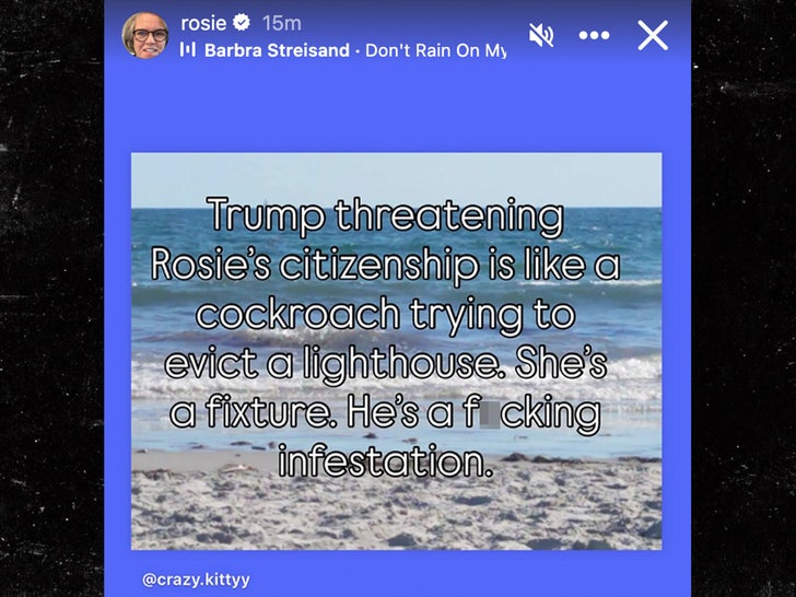 rosie odonell donald trump instagram sub 2