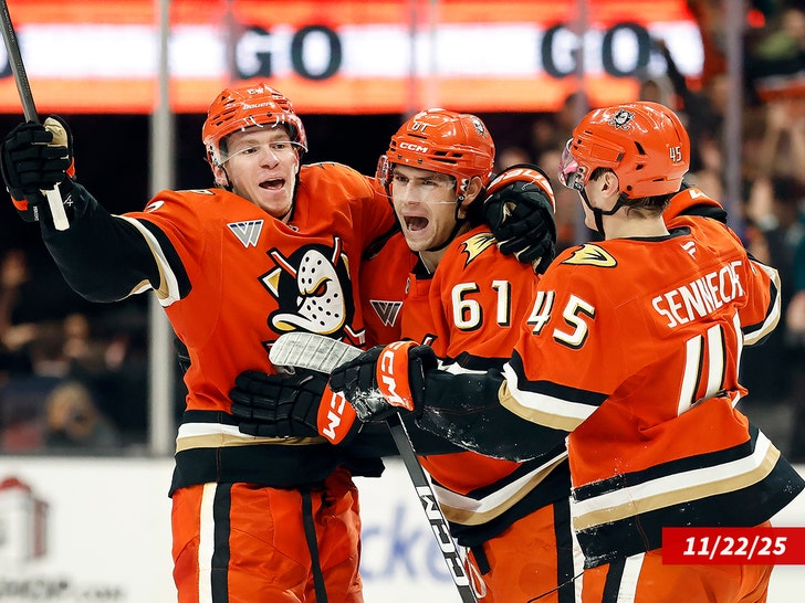 anaheim ducks sub getty swipe