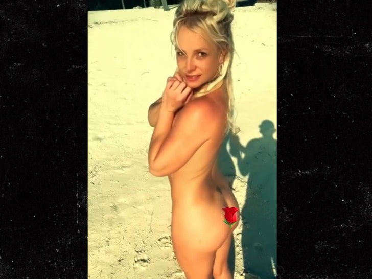 britney spears nude beach