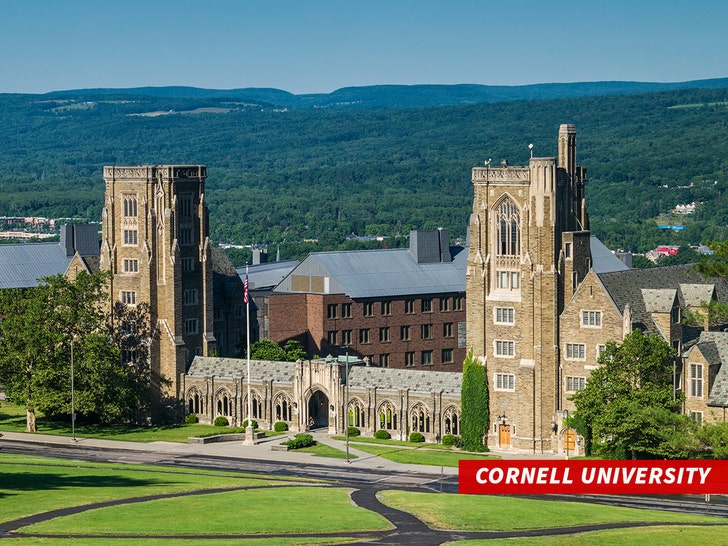 Cornell University getty 4