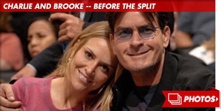 Charlie Sheen and Brooke Mueller -- Before The Split