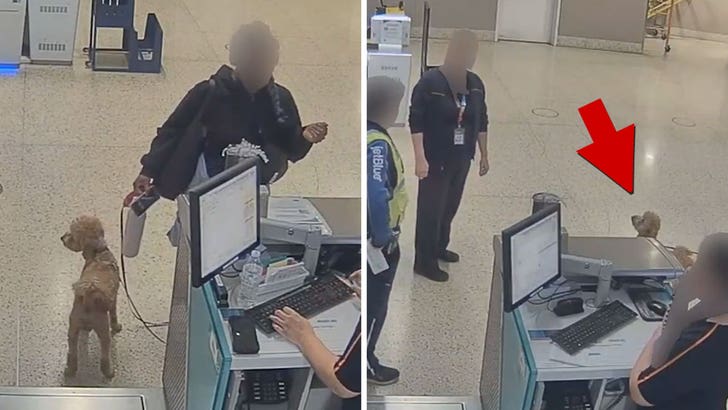 021826_mulher_abandona_cachorro_