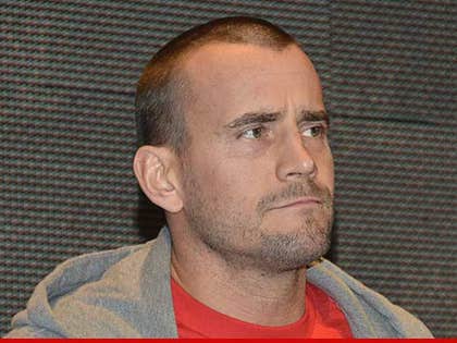 0626_cm_punk