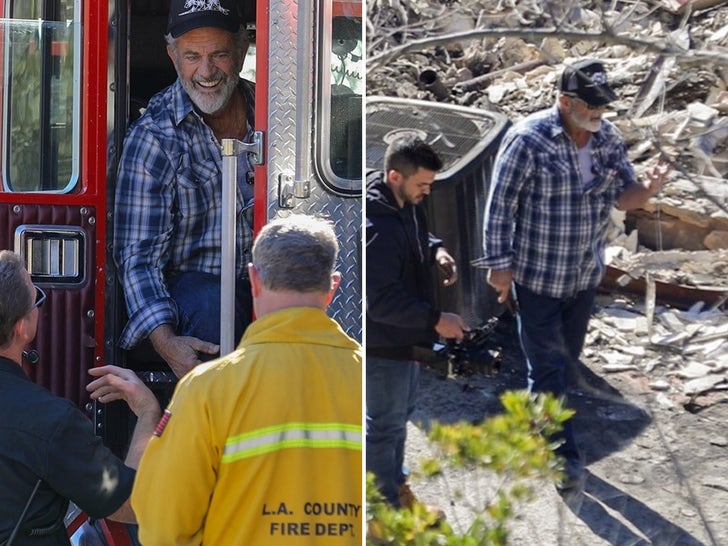 Mel Gibson Surveys Malibu Home Torched By Wildfires