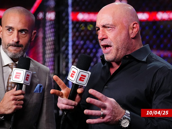 joe rogan getty sub
