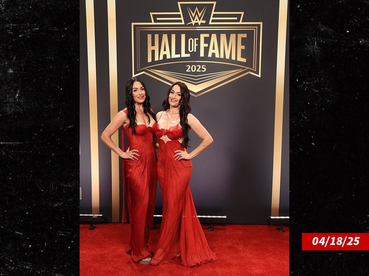 brie bella nikki bella getty