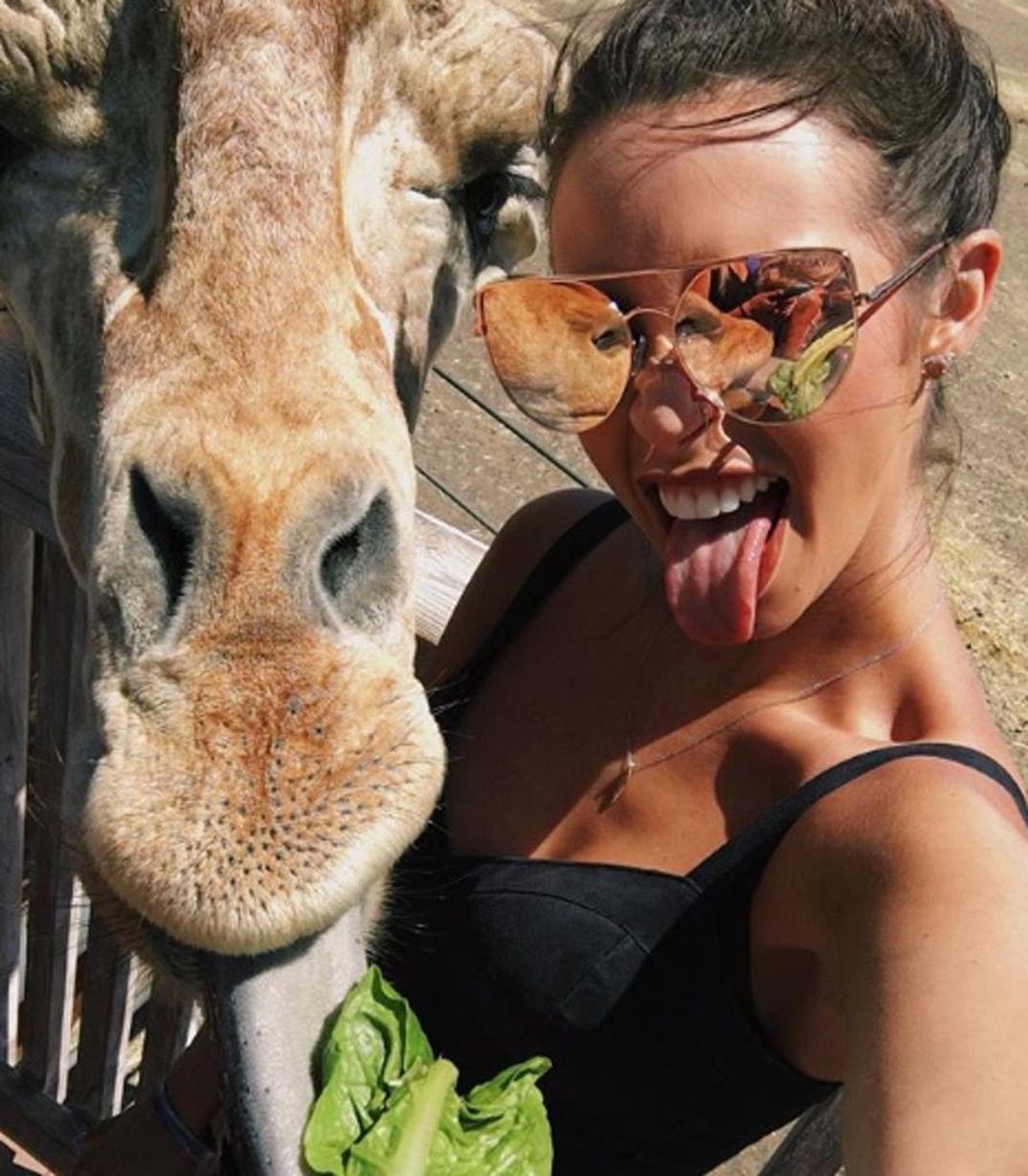 Scheana