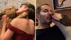 Sloppy Dog Kisses -- Pooch Smooch!