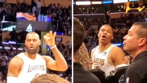 LeBron James Rips Heckler During Lakers Game, 'Shut Your Ass Up'