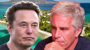 elon musk jeffrey epstein island main getty