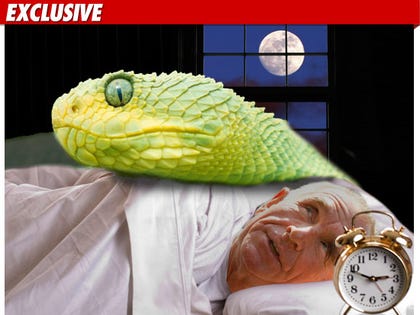 0915_prince_von_snake_bed_TMZ_getty