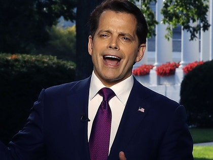 0803_Anthony-Scaramucci_getty