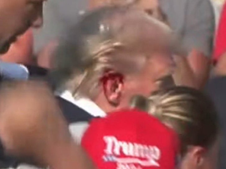 donald trumpo bloody ear