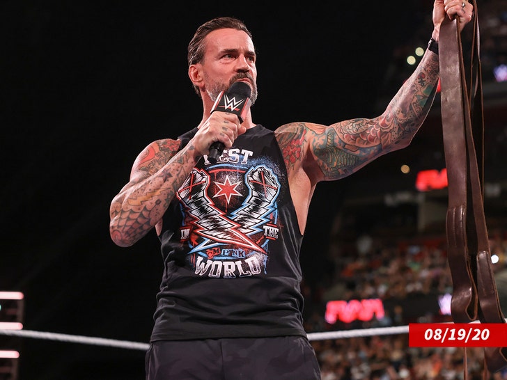 CM punk wrestling