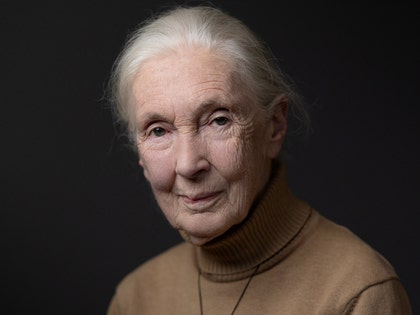 jane goodall getty 1