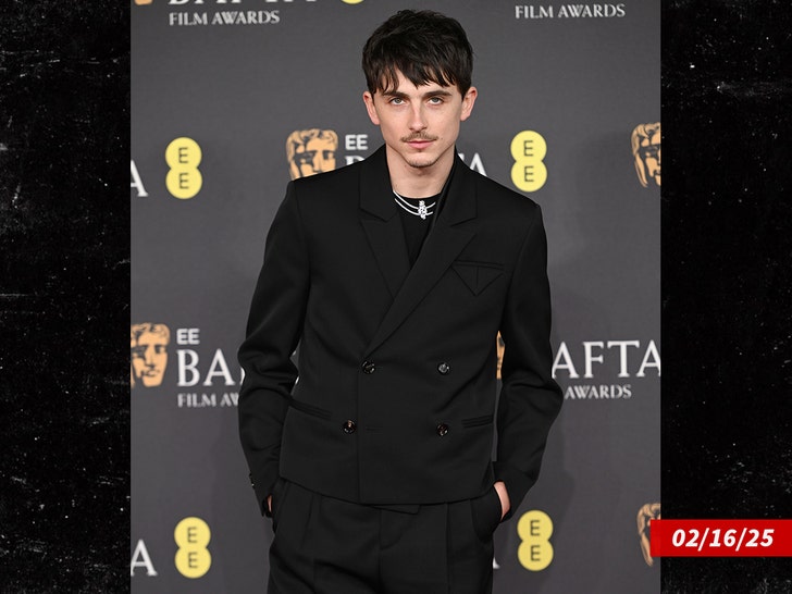 timothée chalamet sub getty deslizar