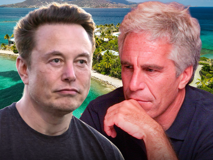 elon musk jeffrey epstein island main getty