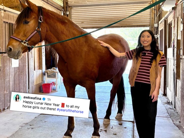 0217-estrelas-com-cavalos-sub1