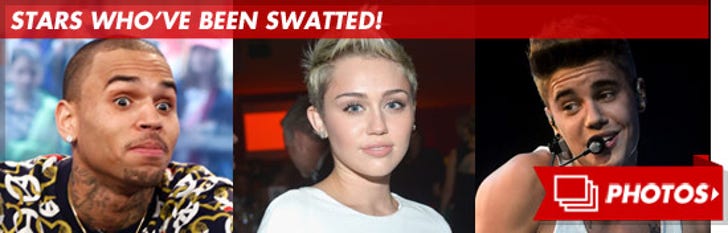Stars Who've Been Swatted!