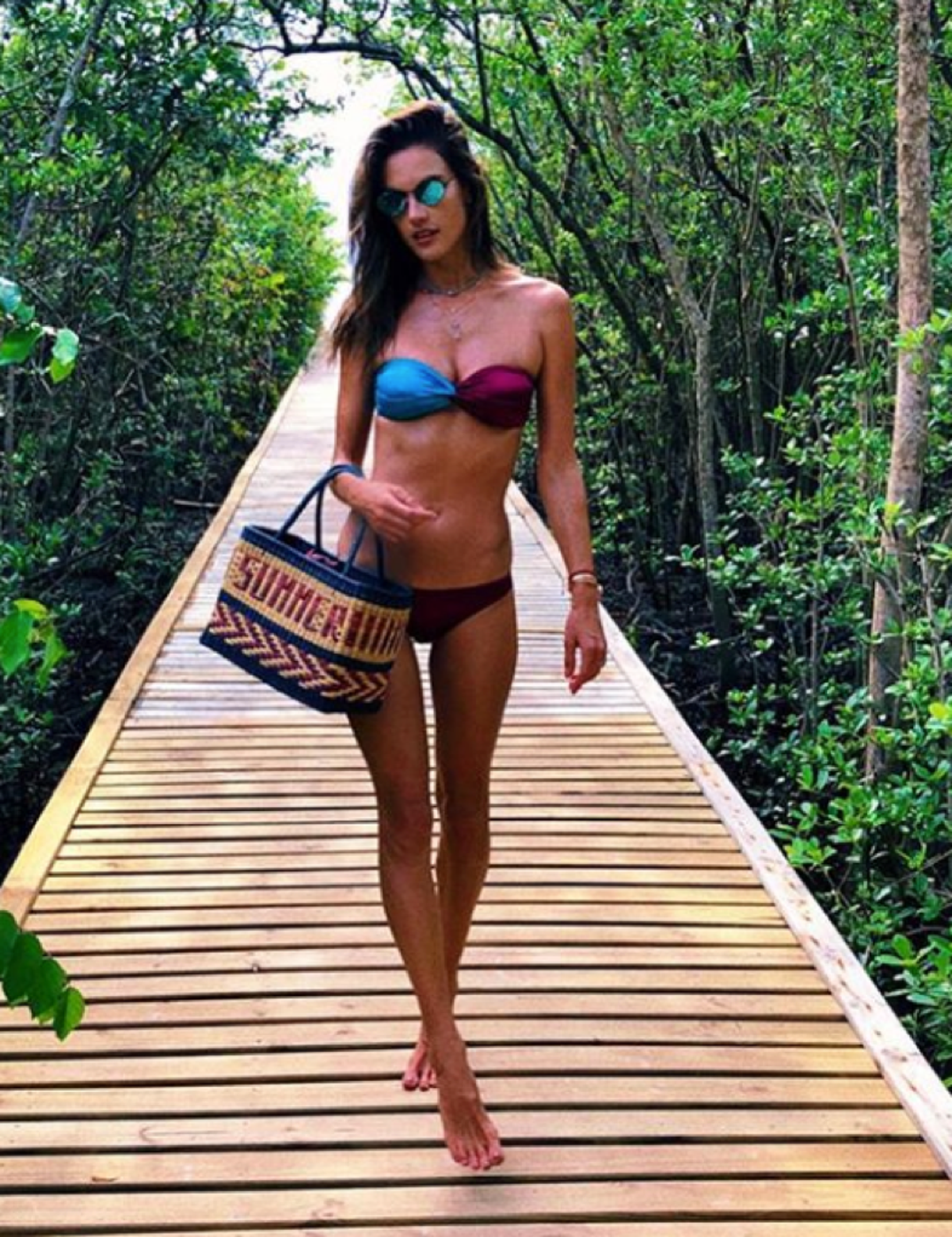 alessandra_ambrosio_hot_photos2