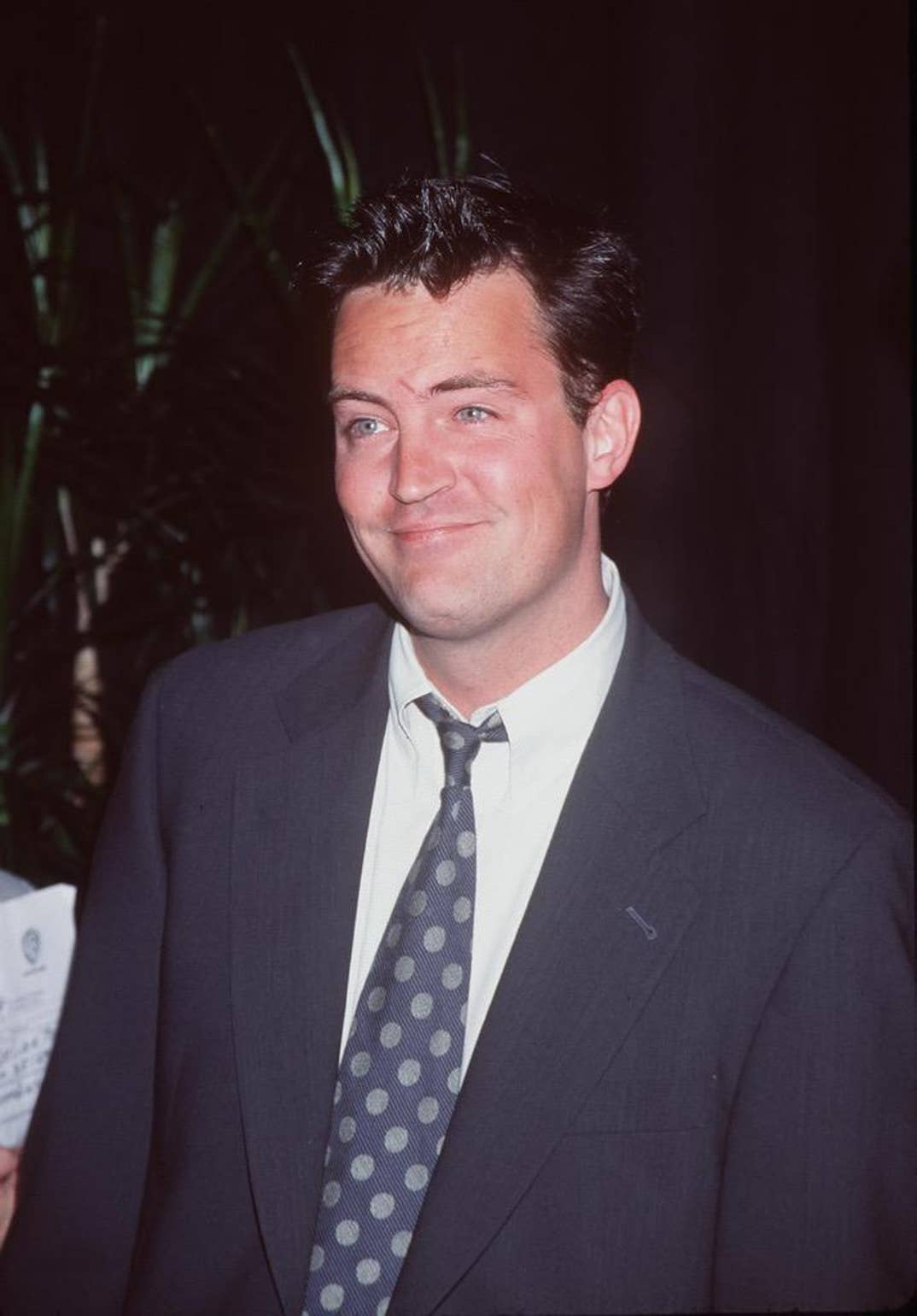 Young Matthew Perry Friends