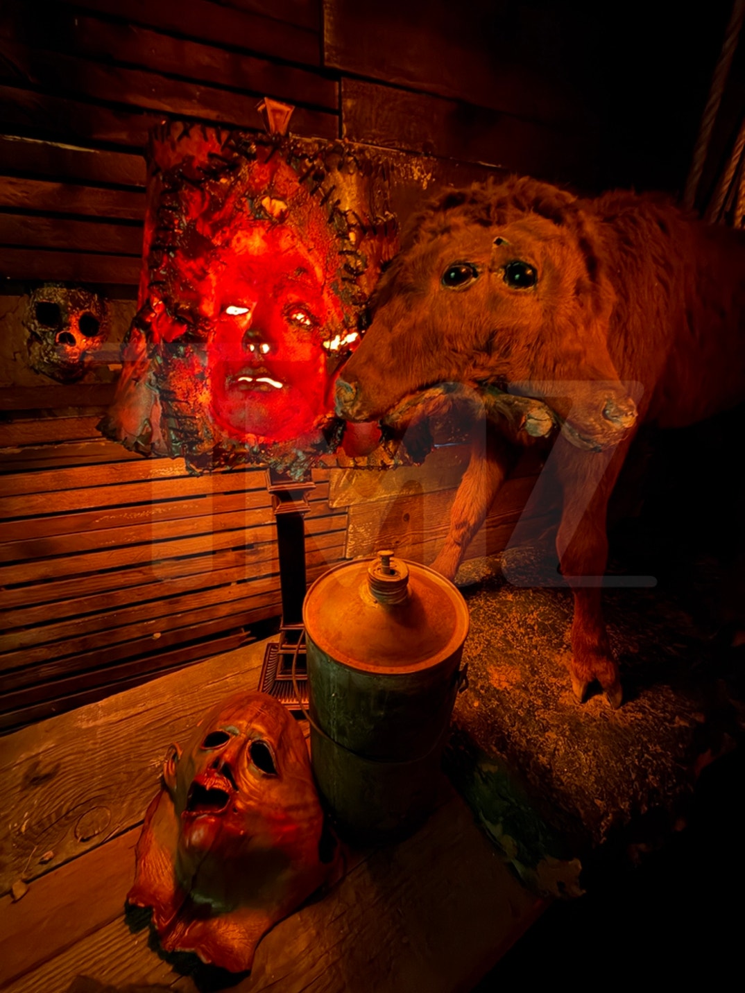 The Haunted Museum Cauldron Photos 4