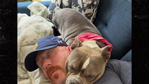 wwe's sheamus dog passed instagram