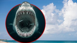 Shark Attack Sand Castle Beach getty alamy 1