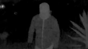 nancy guthrie suspect ringcam 4