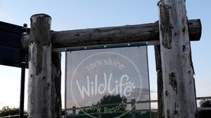 Yorkshire-Wildlife-Park-getty-1