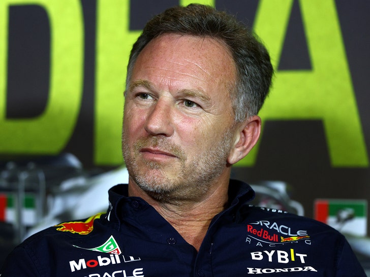 christian horner red bull fired getty 1