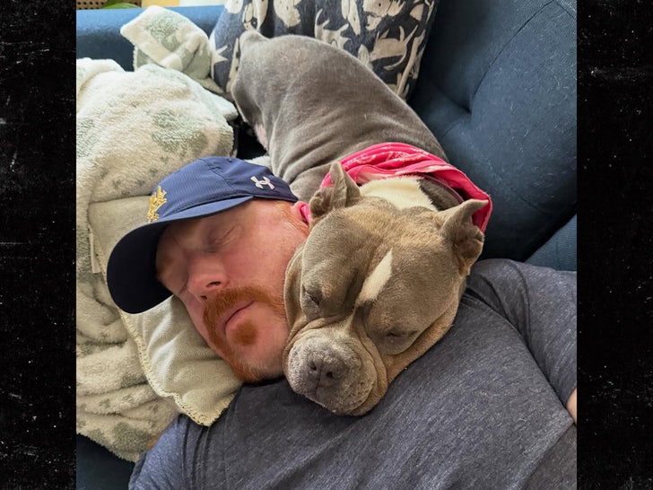 wwe's sheamus dog passed instagram
