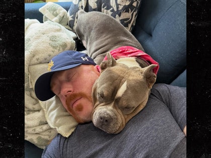wwe's sheamus dog passed instagram