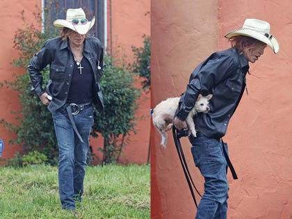 primary template for clearance (4) copy