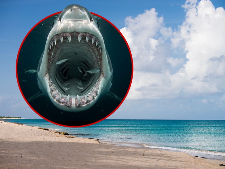 Shark Attack Sand Castle Beach getty alamy 1