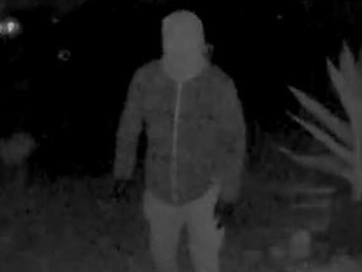 nancy guthrie suspect ringcam 4